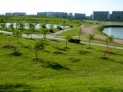 Через год в Москве откроется парк «Братеево»