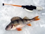 Ловля рыбы под Москвой зимой