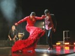 Особенности шоу фламенко в Парке Сама на Коста-Дорада