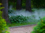 В парке «Сокольники» заработал искусственный туман