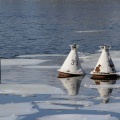 Лед на реке Москва в конце марта